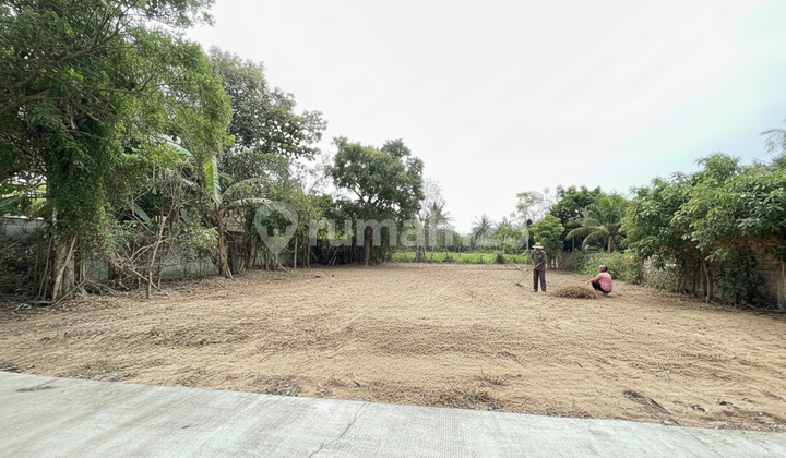 Land Ready for AJB Ngaglik South Campus UII Center Land Ready for AJB Ngaglik South Campus UII Center