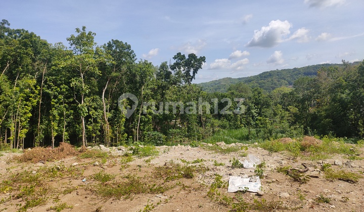 Tanah SHM Bantul Selatan Lapangan Jambidan
