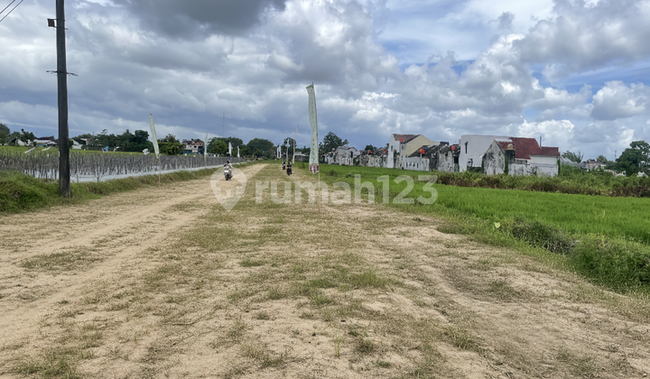 SHM Land in Sidoarum Near UMY SHM Land in Sidoarum Near UMY