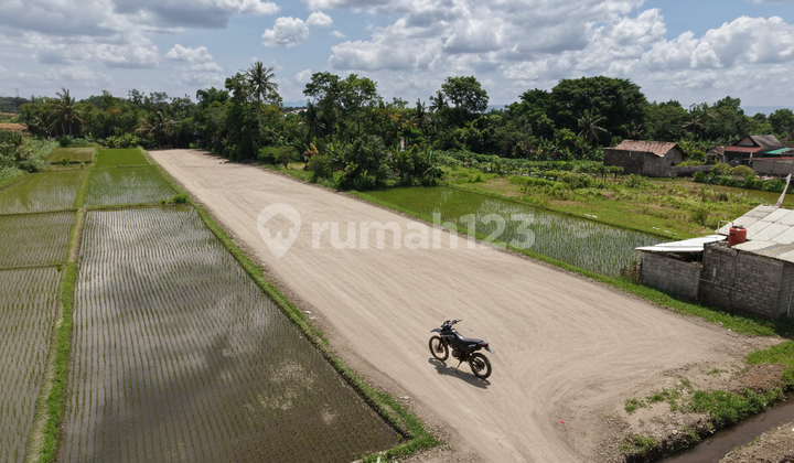 Tanah SHM Area Palagan Utara Resto Jejamuran
