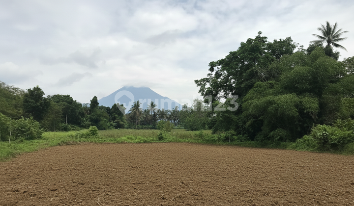 Tanah Pakem Sleman Siap AJB Barat Pasar Pakem