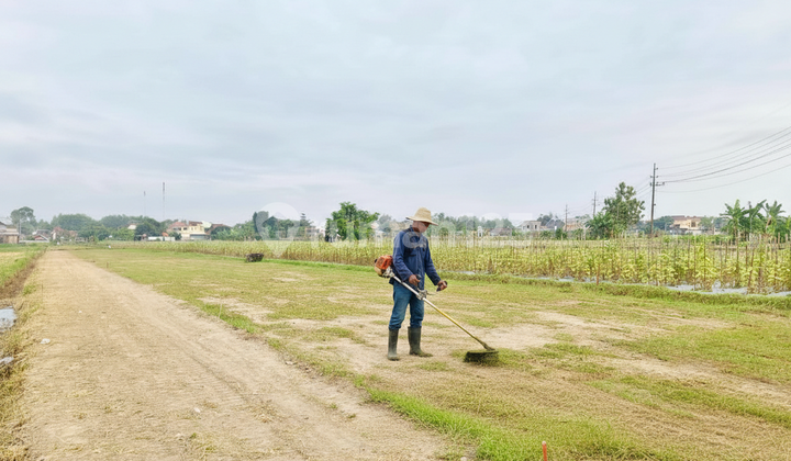 Godean Sleman Land Behind Al Azhar - 0% Installment