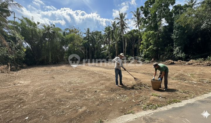 Sisa 1 Unit Saja Tanah 2,2 Jt/M2 Shmp Tridadi Barat Kantor Bpn Sleman