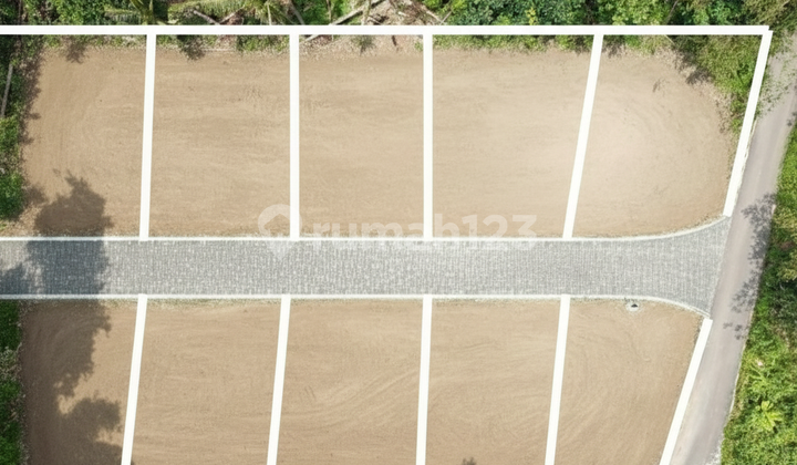 Dijual Land Pekarangan Tridadi Sleman Barat Pemda Sleman Dijual Land Pekarangan Tridadi Sleman Barat Pemda Sleman