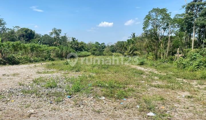 Tanah Pakem Jogja SHM Cocok Untuk Villa Dan Hunian Tanah Pakem Jogja SHM Cocok Untuk Villa Dan Hunian