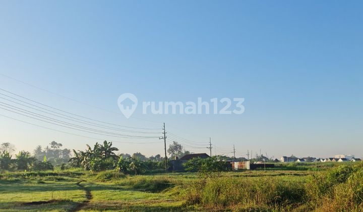 Tanah SHM view sawah dekat kampus2 swasta cocok untuk kos2an