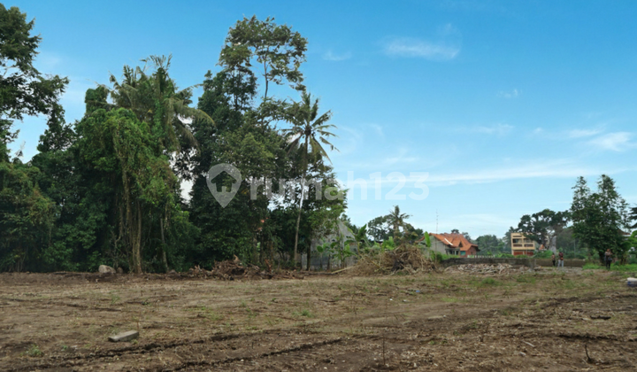 Tanah Pekarangan Kalasan Sleman Dekat Exit Tol Purwomarani Tanah Pekarangan Kalasan Sleman Dekat Exit Tol Purwomarani