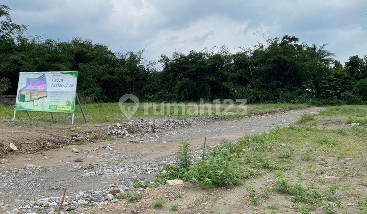 SHM Land in Sleman, around 300 Million, with a View