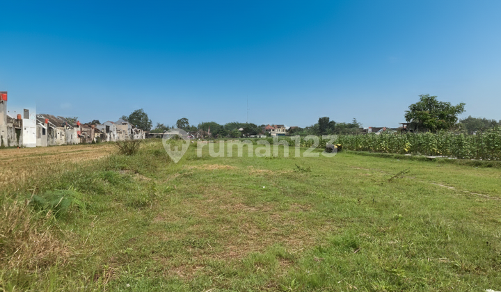 Investasi Menguntungkan, Tanah SHM Sidoarum 