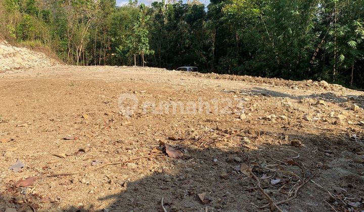 Tanah Shmp Pleret Bantul Dekat Pasar Pleret Tanah Shmp Pleret Bantul Dekat Pasar Pleret