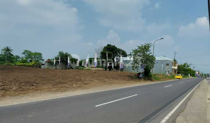 Tanah SHM Sleman Utara Masjid Suciati - Bisa Dicicil 0 %