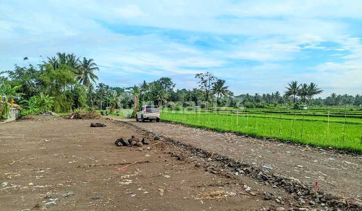 Tanah Sleman SHM Barat PT. SGI Pandowoharjo