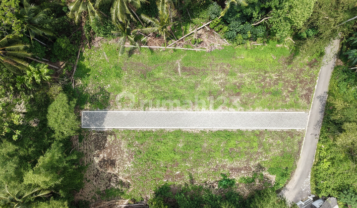 Vacant Land Tridadi - West BPN Sleman, 0% Installment Vacant Land Tridadi - West BPN Sleman, 0% Installment