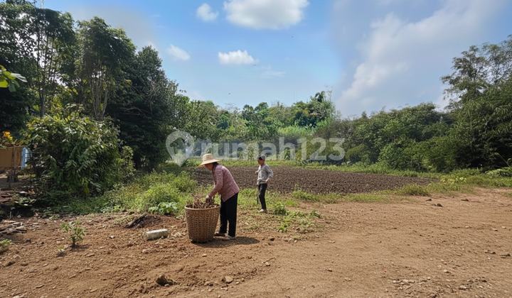 Land Ready for AJB West Terminal Pakem Sleman Land Ready for AJB West Terminal Pakem Sleman
