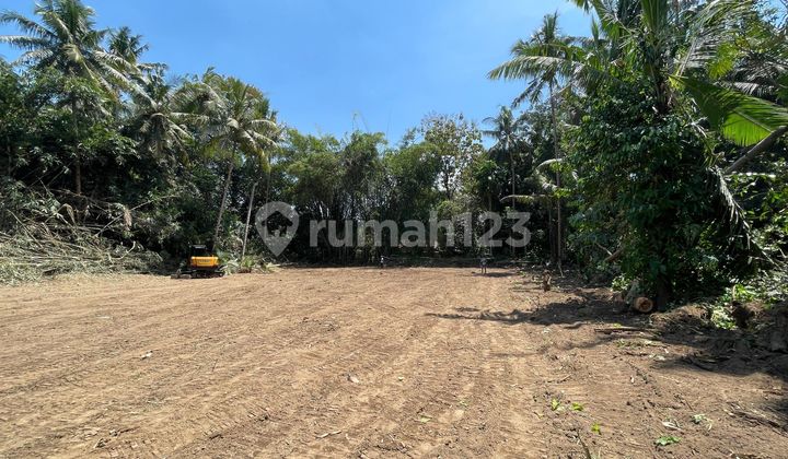 Tanah SHM Strategis Dekat Pemda Sleman 