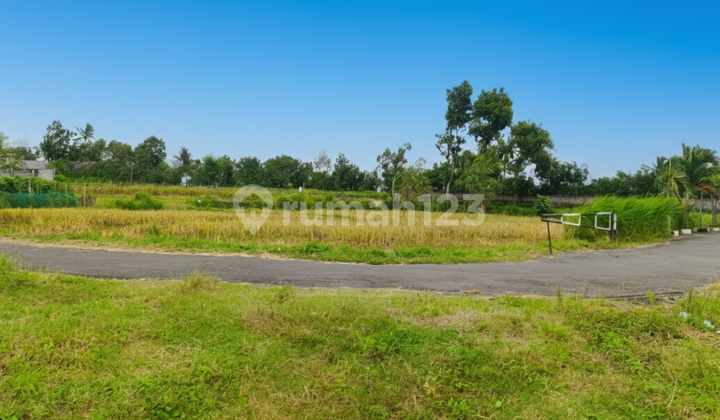 Tanah Strategis Kalasan, Dekat Exit Tol Purwomartani