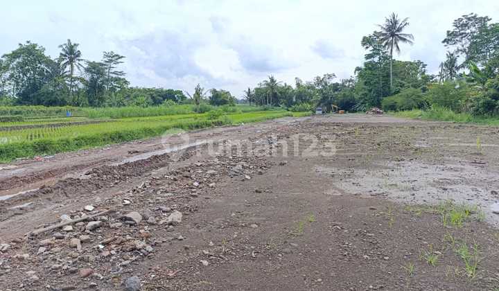 Strategic Land Near Villa, North of Denggung Field
