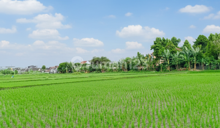 Tanah Premium Kota Jogja Dekat Kampus dan Mall