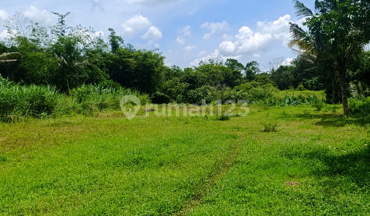 Strategic Land for Sale 10 Minutes from UII Jakal