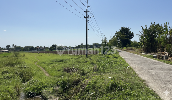 Golden Land West Sleman, 10 Minutes to Jogja City Center Golden Land West Sleman, 10 Minutes to Jogja City Center