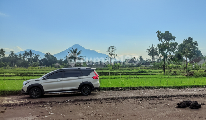 Jogja Land View of Rice Fields and Merapi, North of Jejamuran Restaurant