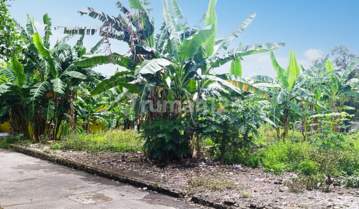 Premium Land Prambanan Just a Step Away from the Highway