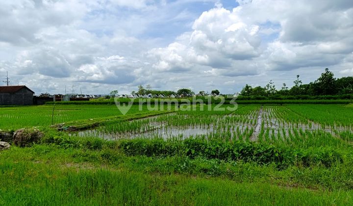 Strategic Land in Sleman Near Al Azhar Yogyakarta World School