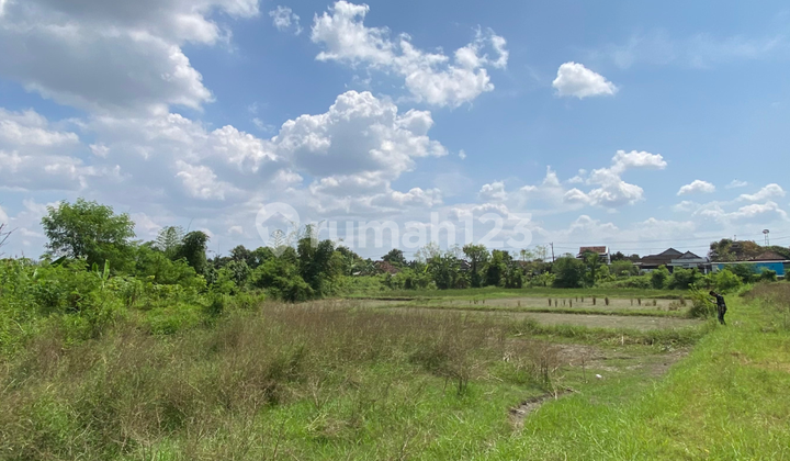 Promo Akhir Tahun Tanah Kavling Dekat Terminal Giwangan