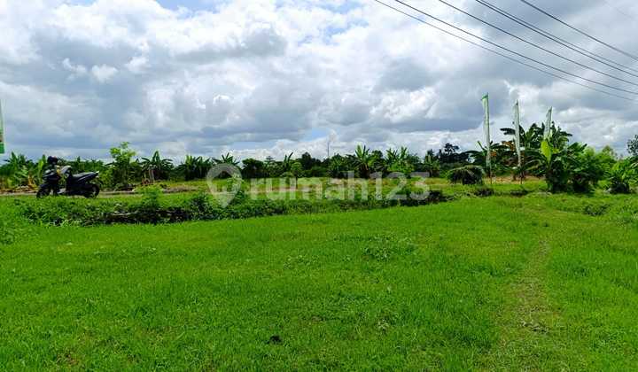 Tanah Godean Strategis, 100 Meter Jalan Raya