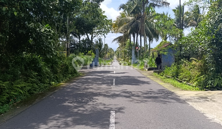 Strategic Land for Sale 10 Minutes from UII Jakal