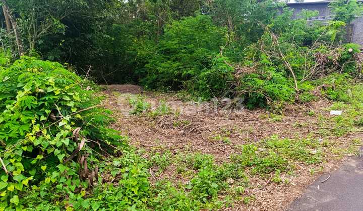 Tanah Sleman SHM, Dekat Smp Negeri 2 Kalasan Tanah Sleman SHM, Dekat Smp Negeri 2 Kalasan