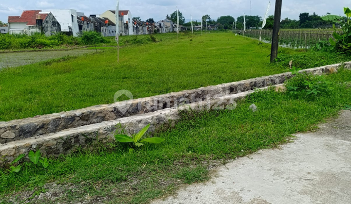 Strategic Jogja Land in Campus Area and Near Toll Access Strategic Jogja Land in Campus Area and Near Toll Access