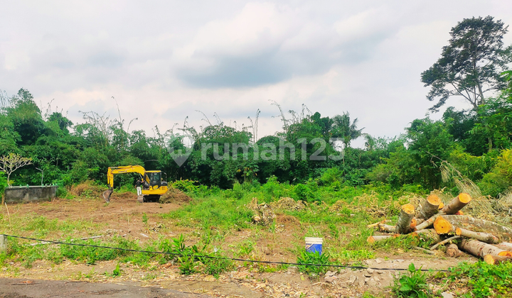 Tanah Emas Kalasan 100 Meter Dari Jalan Raya