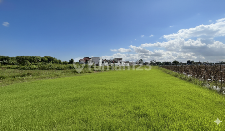 Strategic Land in Godean Near Unu Jogja Campus Strategic Land in Godean Near Unu Jogja Campus