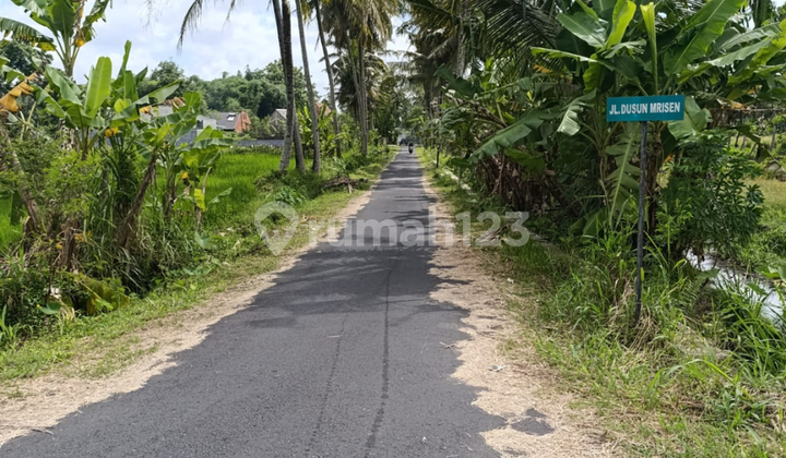 Tanah Pandanaran Sleman Lingkungan Asri, Dekat Temoto Coffee