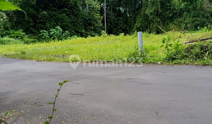 Tanah Sleman Dekat Astra Daihatsu Jombor, Mlati Tanah Sleman Dekat Astra Daihatsu Jombor, Mlati