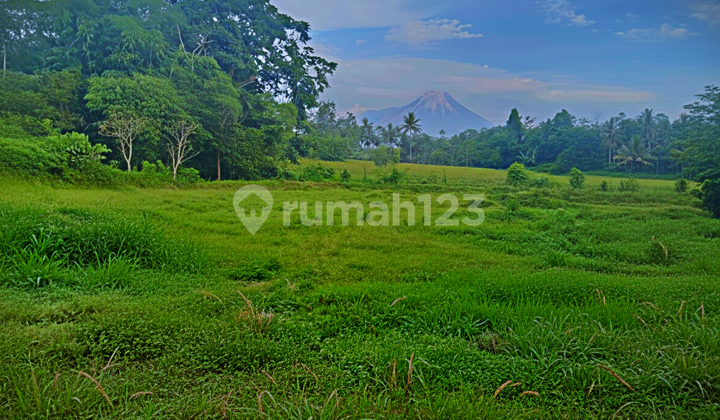 North Sleman Land Near Jl. Pakem Turi View Merapi