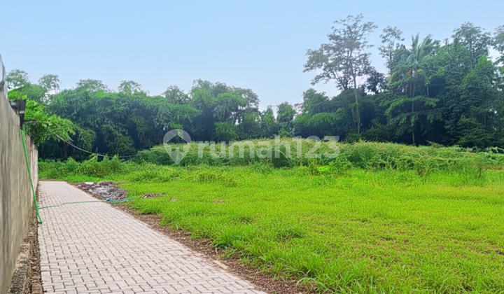 Tanah Sleman SHM, Dekat Jl. Puwomartani Kalasan Tanah Sleman SHM, Dekat Jl. Puwomartani Kalasan