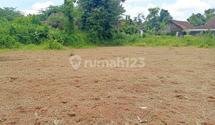 Land Ready for AJB, North Sleman - Near UII Campus, Jl. Kaliurang