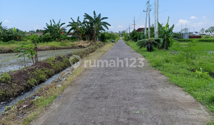 Strategic Land in Godean, 5 Minutes to UNU Jogja Campus Strategic Land in Godean, 5 Minutes to UNU Jogja Campus