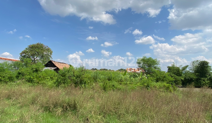 Land in Bantul, Adjacent to Jl. Monumen Perjuangan Banguntapan Land in Bantul, Adjacent to Jl. Monumen Perjuangan Banguntapan