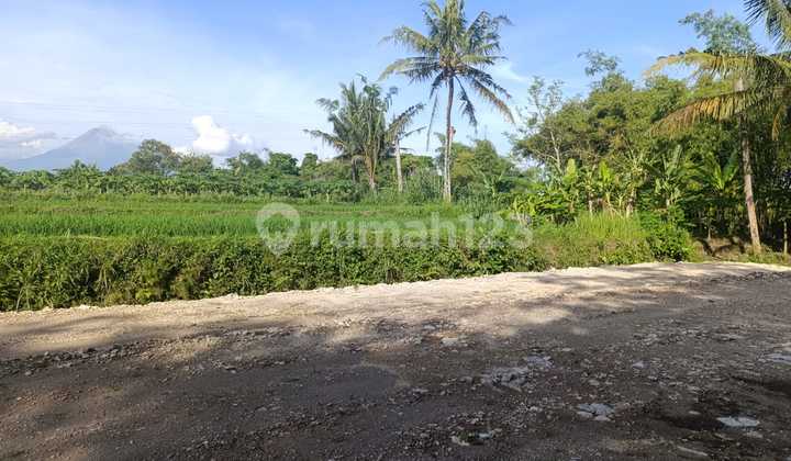 Tanah Sleman Mangku Jalan Raya, View Merapi Tanah Sleman Mangku Jalan Raya, View Merapi