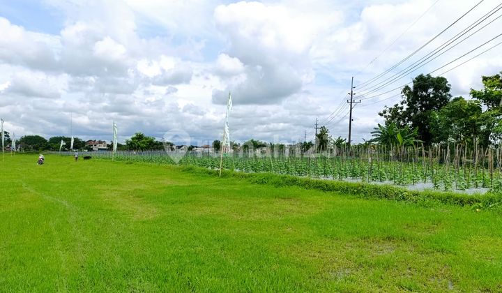 Godean Land Near Residential Development