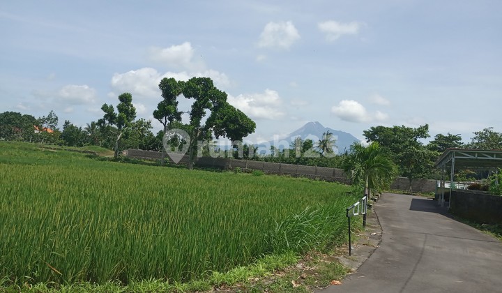 Tanah Kalasan Dekat Exit Tol View Puncak Merapi