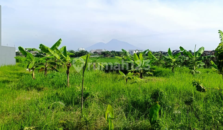 Tanah Premium Kota Jogja Dekat Kampus dan Mall Tanah Premium Kota Jogja Dekat Kampus dan Mall