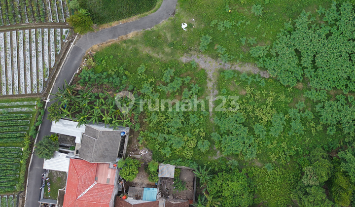 Tanah SHM Murah Purwomartani, 100 Meter Jalan Raya