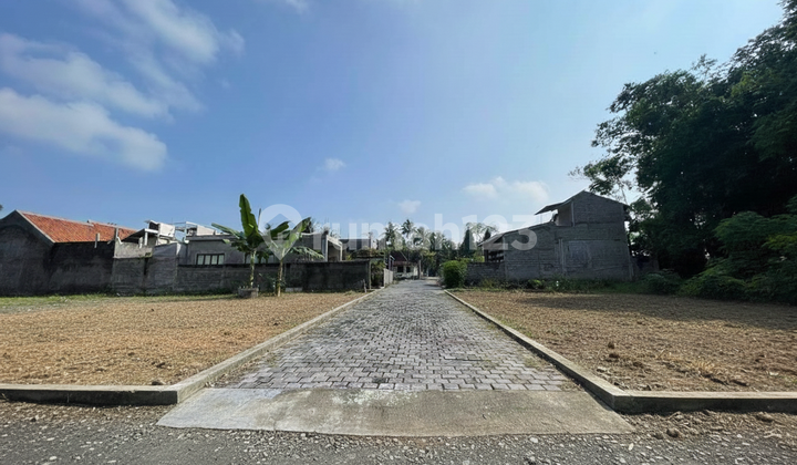 Tanah Mangku Jalan Hanya 5 Menit Dari Pasar Jangkang