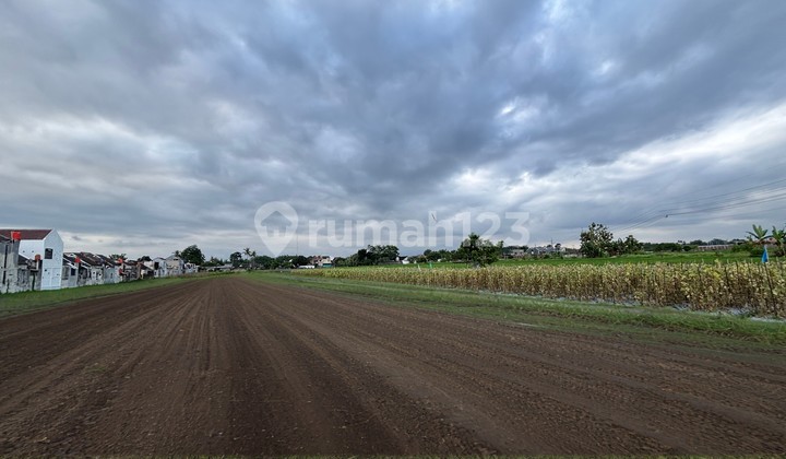 Tanah SHM! Dekat Al-Azhar Boarding School Jogja