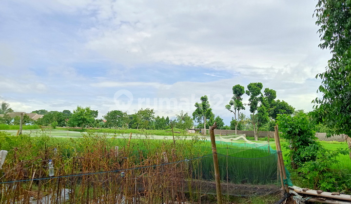 Purwomartani Land, Near Toll Exit and Prambanan Temple