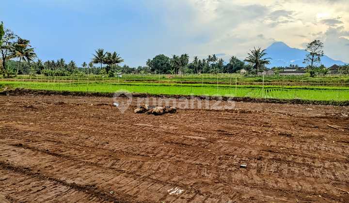 Land Ready for AJB Area Jl Palagan Utara Jejamuran Resto Land Ready for AJB Area Jl Palagan Utara Jejamuran Resto